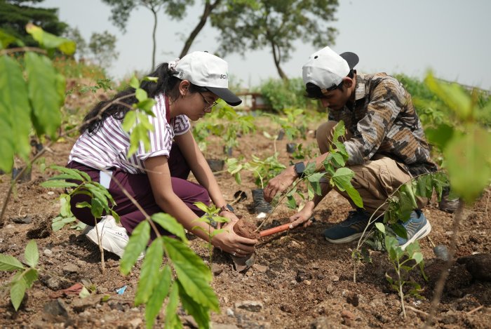 SayTrees Targets Restoration of 300 Lakes Across India by 2035